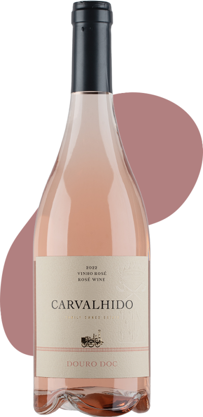 carvalhido-rose